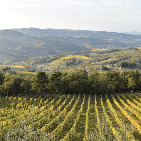 Try delicious Italian wines at the nearby vineyard Corbucci – less than a five-minute drive away