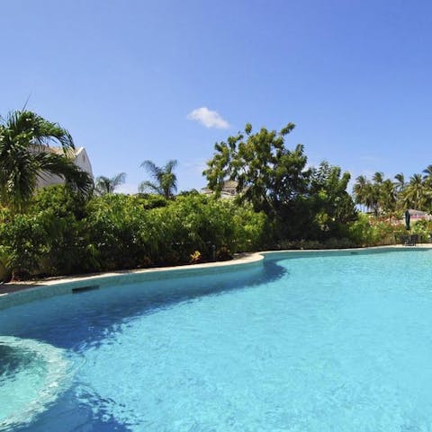 Luxuriate in the large shared pool surrounded by palm trees and lush greenery