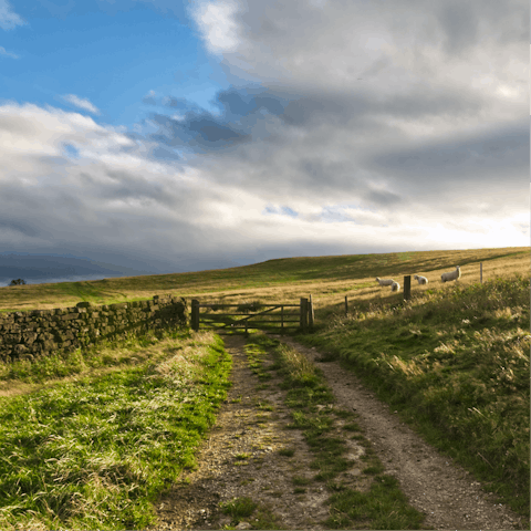 Pack a picnic, plot your route and set off into the spectacular North York Moors