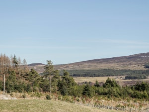 Highland Retreat image 8