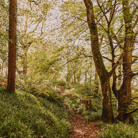 Stroll around the two thousand acres of grounds surrounding the castle