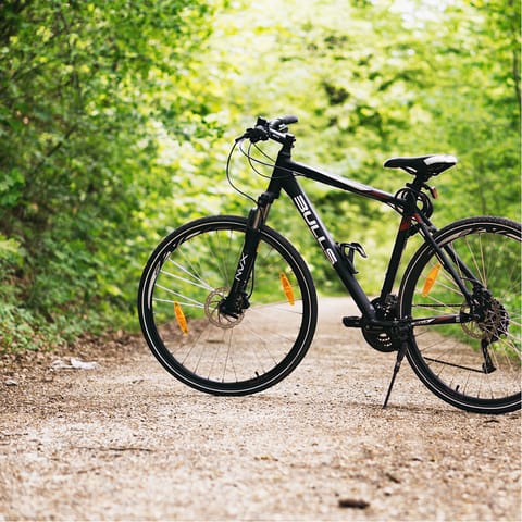 Follow the River Torridge with a cycle along the Tarka Trail 