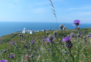 The Lighthouse Keepers image 1