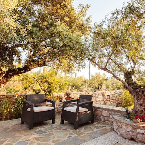 Find total relaxation sitting beneath the old olive trees