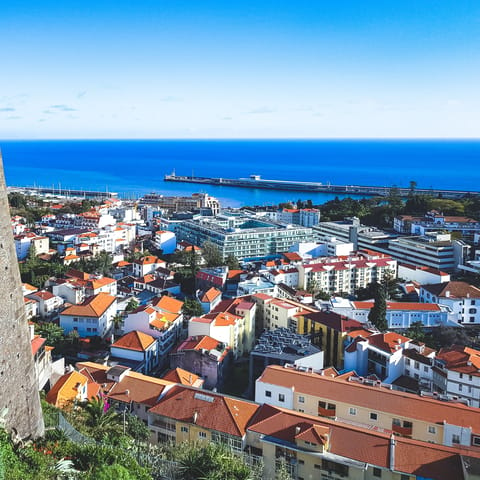 Enjoy adventures around Madeira's lovely capital city, and find wine cellars and botanical gardens