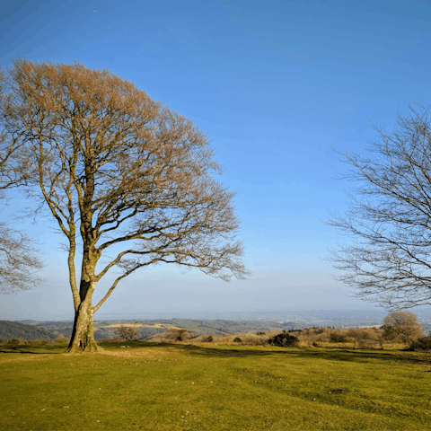 Stretch your legs with a refreshing hike in the Quantock Hills