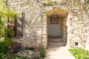 Wisteria over Bonnieux image 4