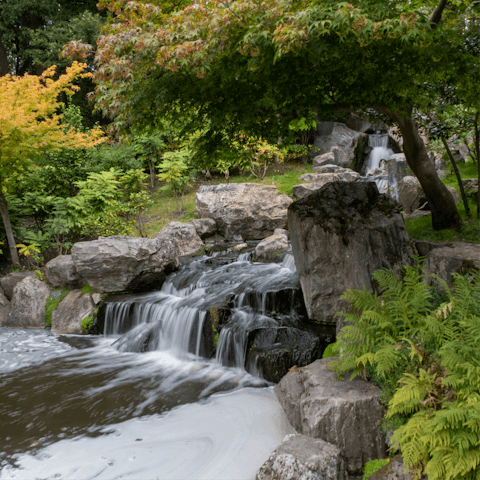 Find your zen at Holland Park's Kyoto Garden, not far on foot