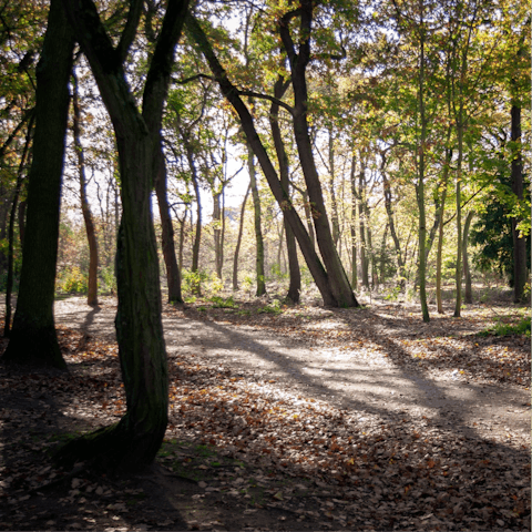 Enjoy the peace and quiet of the nearby Bois de Boulogne