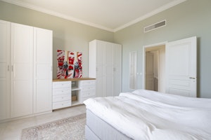 Mimosa Breeze image 14