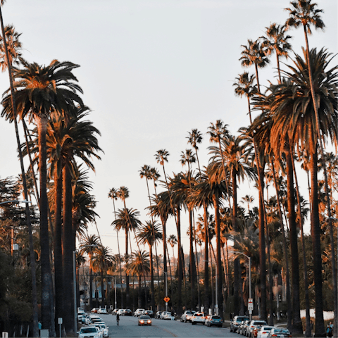 Take a sunset drive around nearby Beverly Hills