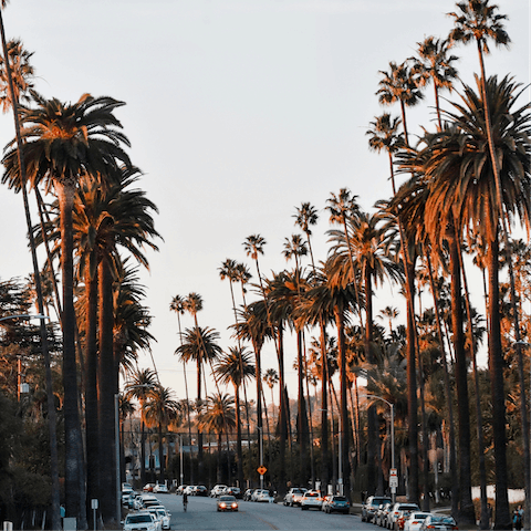 Take a sunset drive around nearby Beverly Hills