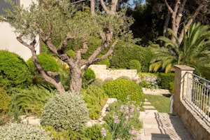Panoramic Provence Views image 5