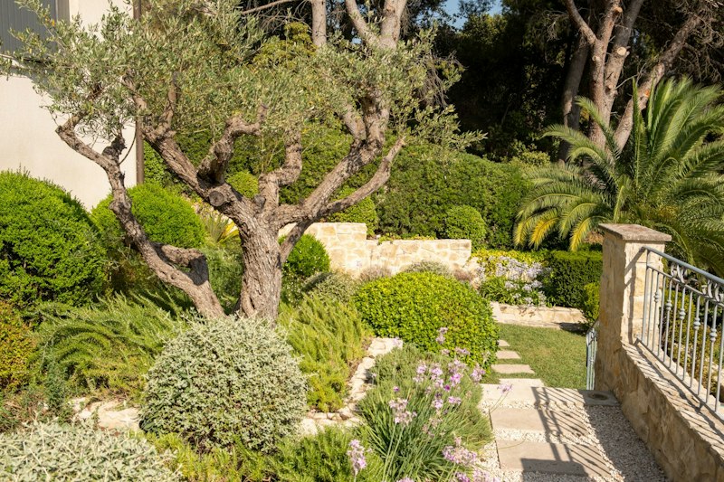Panoramic Provence Views additional image