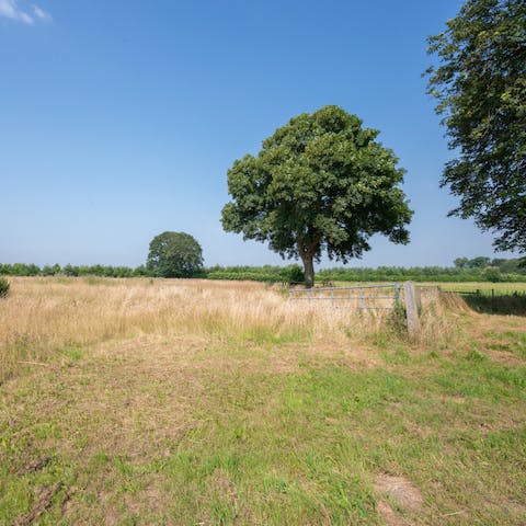 Stay in a beautiful rural setting, in a home that is part of a working farm