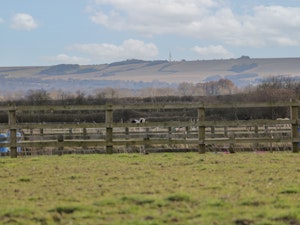 The Regal Orchard image 11