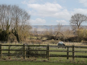 The Regal Orchard image 6