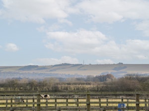 The Regal Orchard image 5