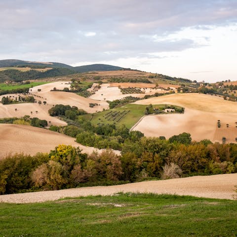 Stay in the Marche countryside,  just a short drive from the village of San Severino Marche