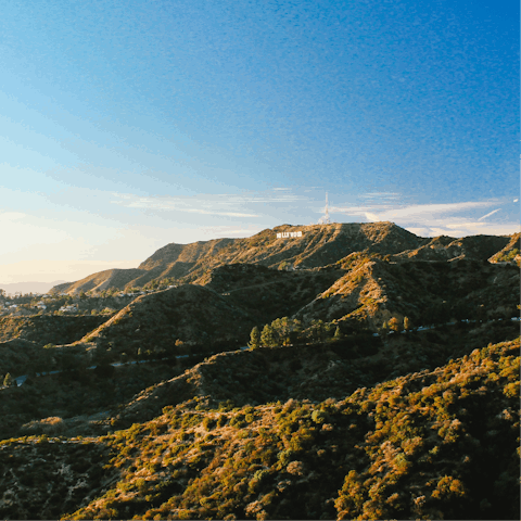 Follow hiking trails through the Hollywood Hills