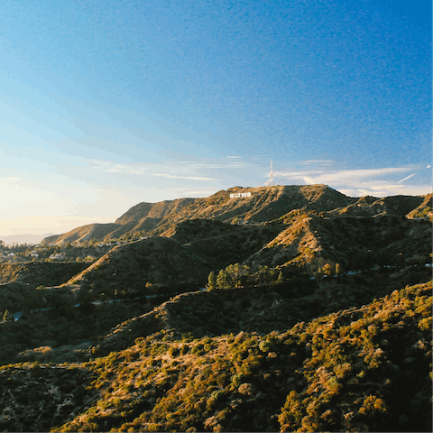 Follow hiking trails through the Hollywood Hills