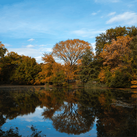 Stroll down to Prospect Park and visit its lush nature, zoo, and art museum