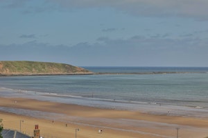Puffin Rock image 8