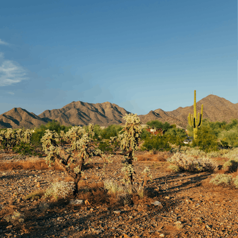 Explore one of Scottsdale's nearby hiking trails