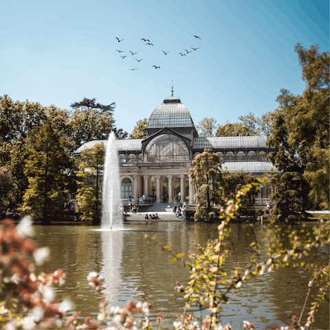 Spend an afternoon rowing on the Great Pond of El Retiro