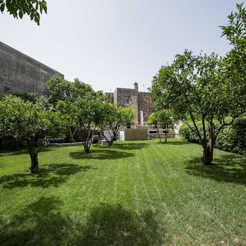 Stroll through your beautiful private garden while admiring its orchard
