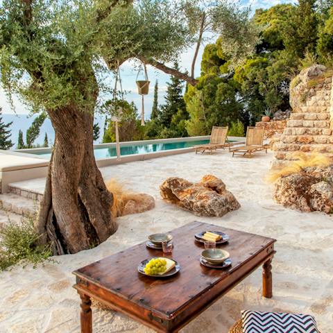 Settle in to an idyllic spot in the shade of an ancient olive tree