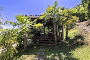 Olive and Sea image 15