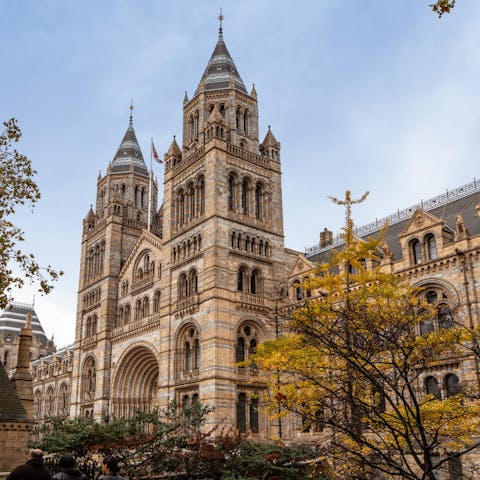 Take the fifteen-minute walk to the Natural History Museum