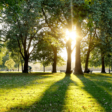 Begin your day with a power walk through Hyde Park 