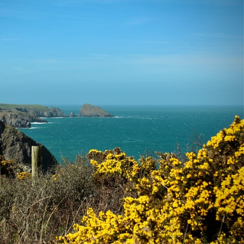 Explore the beautiful Pembrokeshire coast right on your doorstep