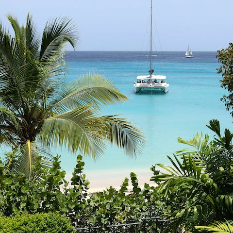 Walk over to Paynes Bay Beach in a minute and dive into the warm Caribbean Sea