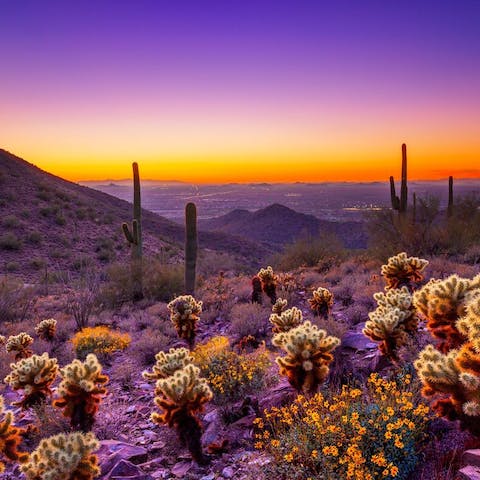 Get out and enjoy the Sonora Desert nearby, a dream for hikers