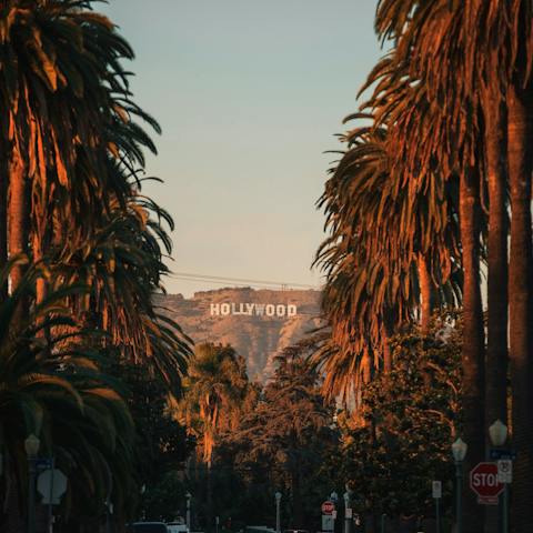 Dip back into real life with a trip to Hollywood Boulevard, just a seven-minute drive