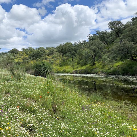 Walk along streams just twenty minutes by foot to nearby Cáceres and Trujillo