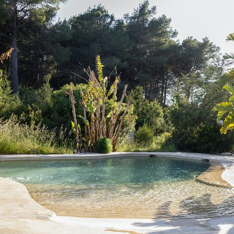 Enjoy a refreshing swim in the outdoor pool