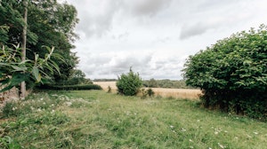 Limestone Hills image 10
