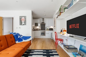 A Regal Spot image 9