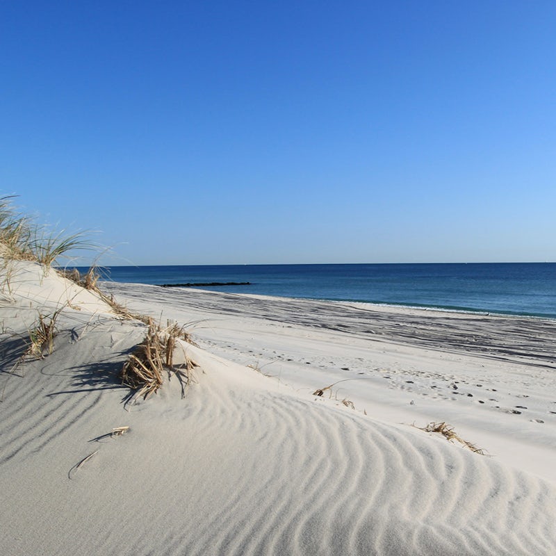 Stay just a fifteen-minute drive from Atlantic beaches