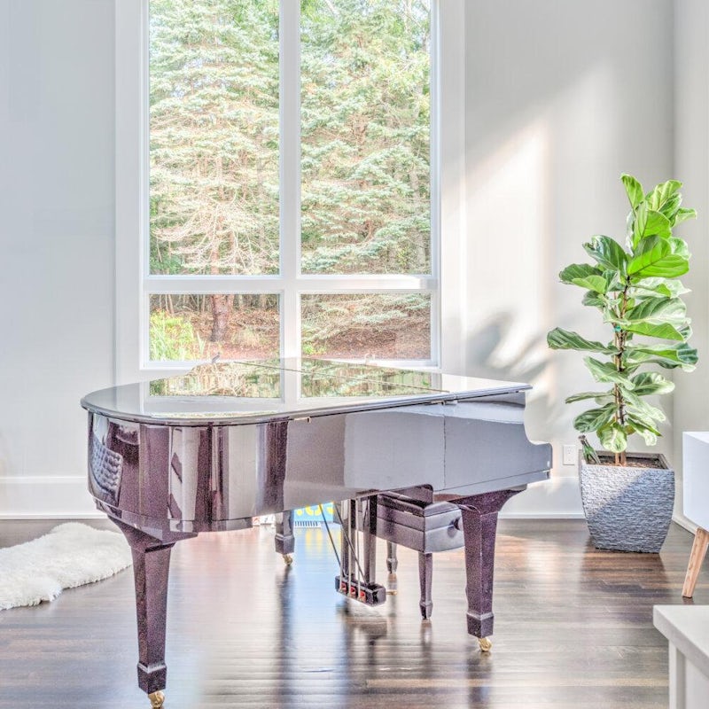 Play a few tunes on the piano