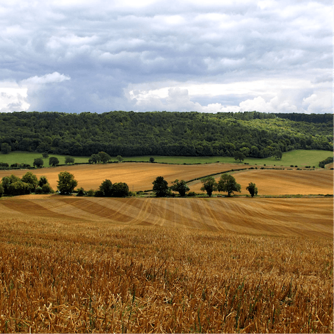 Explore the beautiful Buckinghamshire countryside