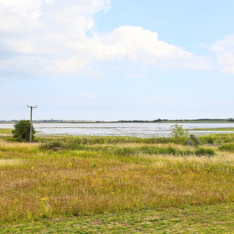 Stunning views of the heathland from every window