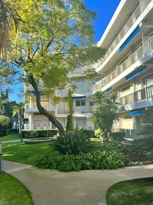 Cap d'Antibes Noon image 10