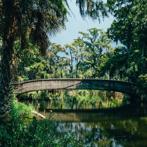 Take a walk through the enchanting City Park, a ten-minute drive from your house