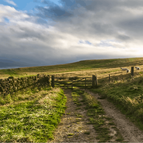 Feel the freedom of expansive skies and open fields as you walk along the Cleveland Way 
