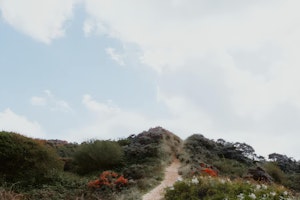 Camber's Corner image 14